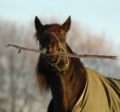 Panne 2